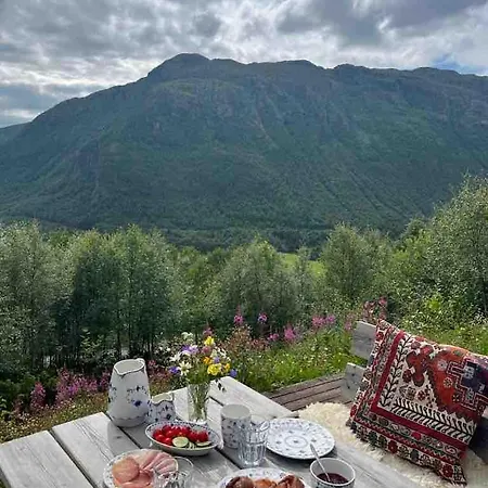 Traditional Hemsedal Family Spectacular View Holiday home