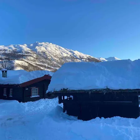 Traditional Hemsedal Family Spectacular View Holiday home